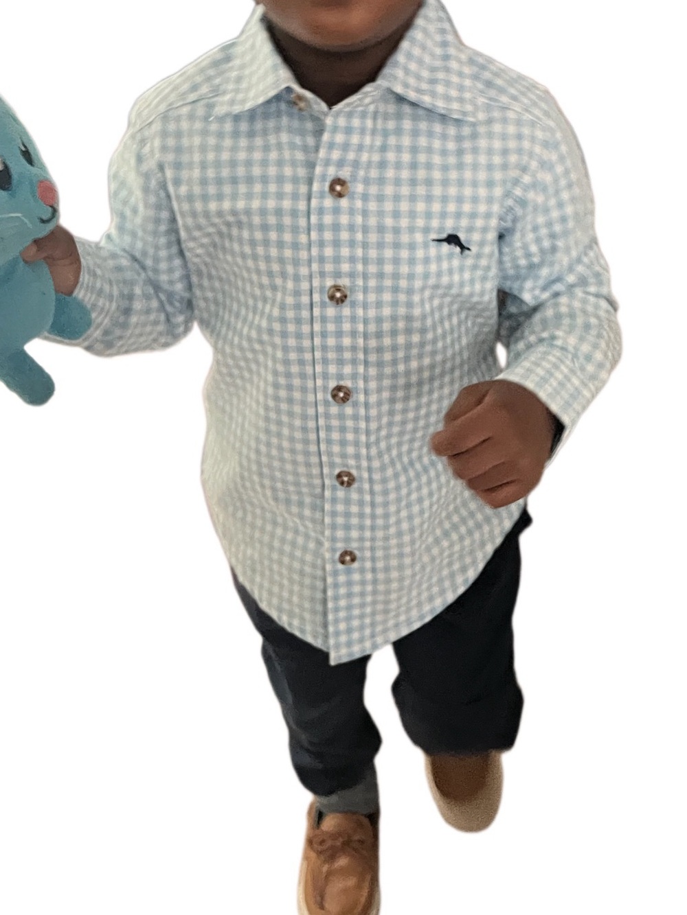 Boys Light Blue Gingham Button-Down Shirt with Dolphin Accent